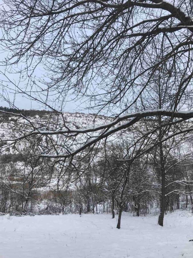 Korkóstoló Vendégházak Aggtelek Exterior foto