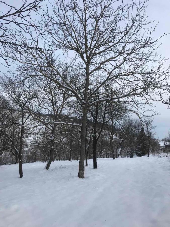 Korkóstoló Vendégházak Aggtelek Exterior foto